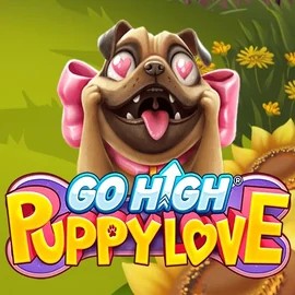 Go High Puppy Love slot icon by RubyPlay, available at AmunRa Casino